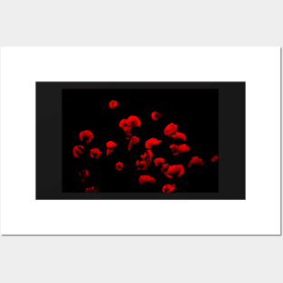 Poppies on the dark side Posters and Art